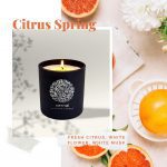 Vernal-Scented-Candles-Lets-Cirtus-Spring-1024×1024-1.jpg