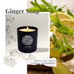 Vernal-Scented-Candles-Lets-Ginger-Snap-1024×1024-1.jpg