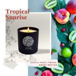 Vernal-Scented-Candles-Lets-Tropical-1024×1024-1.jpg